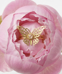 Дизайн сертификата №10